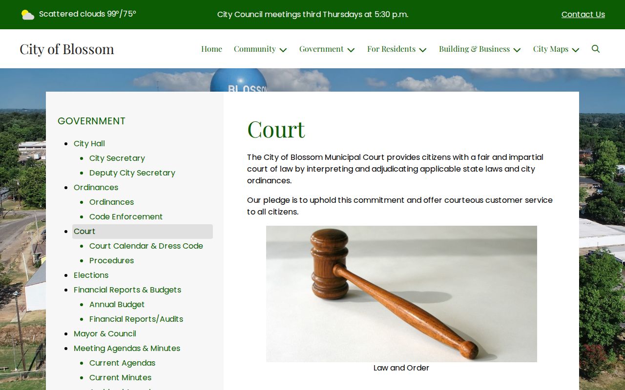 Official Blossom Municipal Court page naming its judge and contact